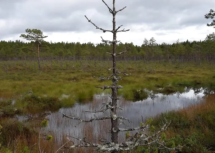 6 Person In Osen * Vika (Innlandet)